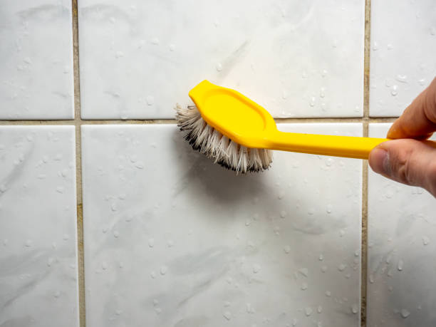 Best Mold Removal and Inspection  in Salix, PA