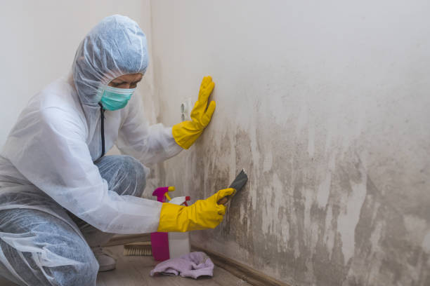 Crawl Space Mold Removal in Salix, PA