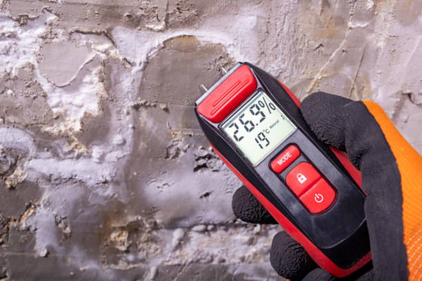 Mold Removal and Inspection in Salix, PA