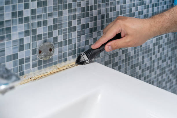 Best Mold Remediation  in Salix, PA