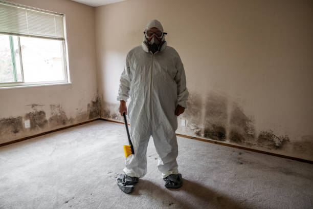 Best Crawl Space Mold Removal  in Salix, PA